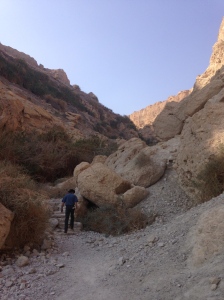 At Ein Gedi - that's our intrepid Israeli guide, Ami leading the way.