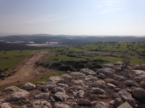 Back where it's green - Tel Lachish